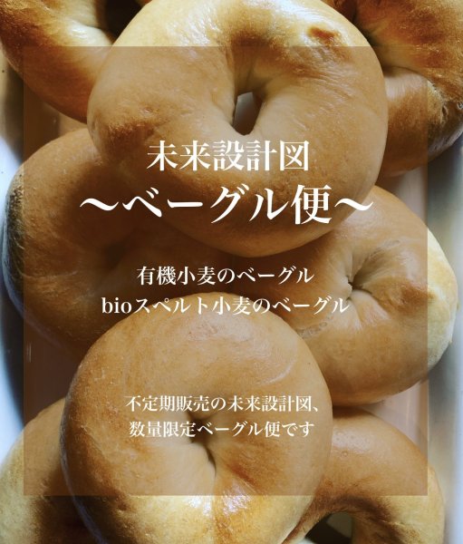 画像1: 未来設計図〜ベーグル便〜　(希少です☆不定期、限定数販売のパンセット)　（乳卵不使用 無添加 オーガニック） (1)