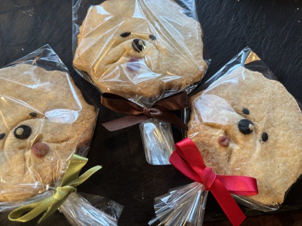 画像1: 【10/8〜数量限定販売】ウチdeフリーゼ ３枚セット(乳卵不使用・小麦不使用・オーガニック・無添加) (1)